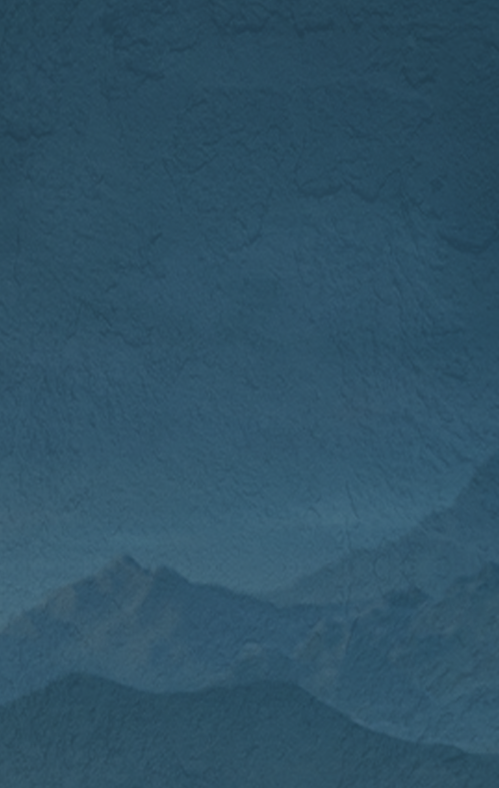 lol押注比赛网站